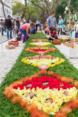 FUNCHAL, MADEIRA - APRIL 16, 2015: In the city centre of Funchal along the central promenade of Avenida Arriaga, the famous floral carpets are created.