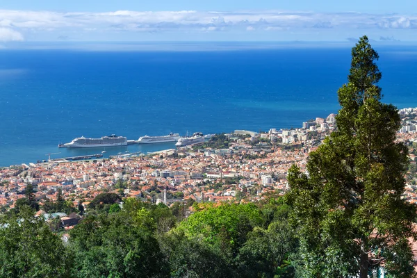 Pohled na Funchal, Madeira, Portugalsko — Stock fotografie