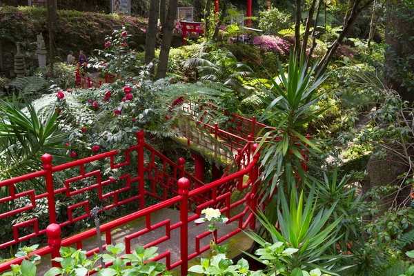 Monte Palace Tropical Garden. Funchal, Isla de Madeira, Portugal —  Fotos de Stock