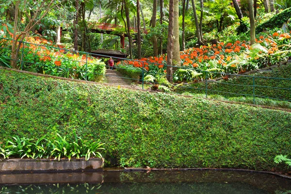 Monte Palace Tropical Garden. Funchal, Isla de Madeira, Portugal —  Fotos de Stock