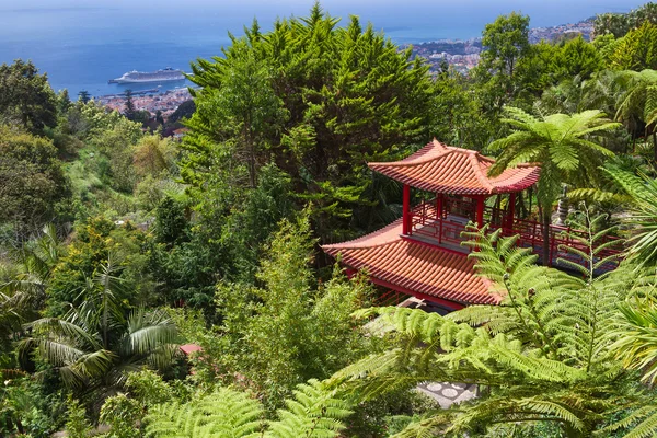 View of Tropical Garden and Funchal City in Monte Palace, Funchal, Madeira — Stok fotoğraf