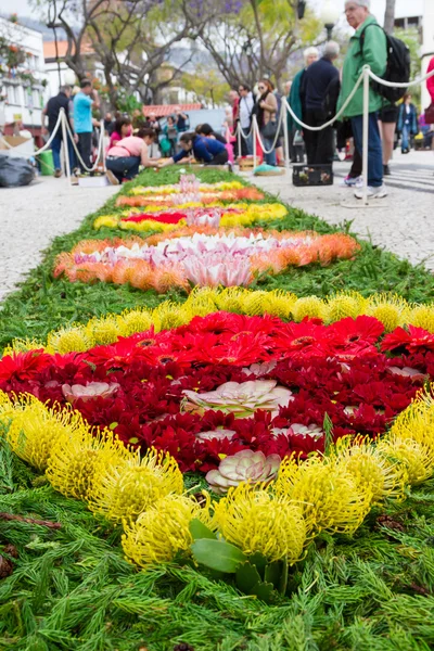 FUNCHAL, MADEIRA - APRIL 16, 2015: Flower carpets along the central promenade of Avenida Arriaga in Funchal City, Madeira, Portugal — 图库照片