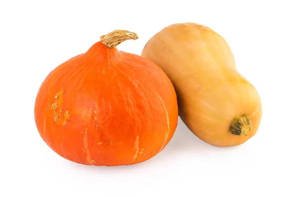 Pumpkin hokkaido butternut — Zdjęcie stockowe