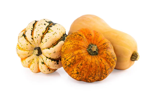 Pumpkins assorted mix — Stock fotografie