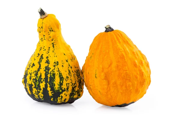 Gourds pumpkin decorative — Stock fotografie