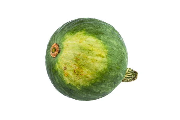 Pumpkin green isolated — Zdjęcie stockowe