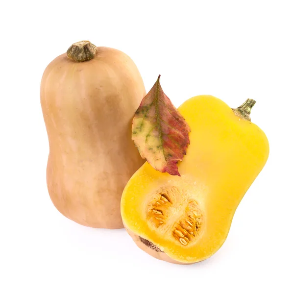 Calabaza de mantequilla aislada en blanco — Foto de Stock