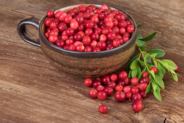 Lingonberries Kupası ahşap tablo
