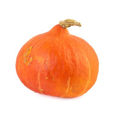 bir balkabağı beyaz izole