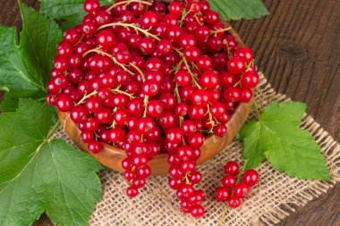 Frenk üzümü yakın çekim