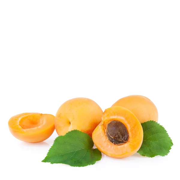 Fresh apricots with copy space — Stock Photo, Image