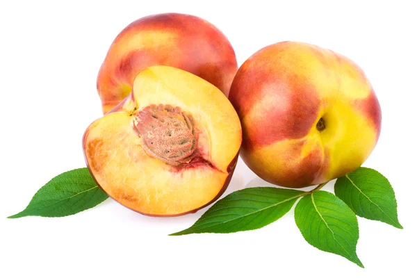 Verse nectarine vruchten — Stockfoto