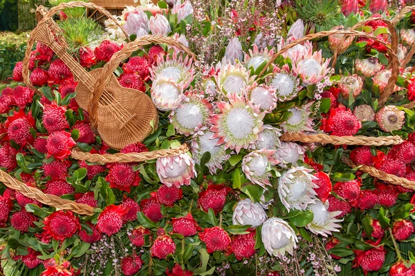 Kwiatami dekoracja Madera Flower Festival. Wyspy Madera, Portugalia. — Zdjęcie stockowe