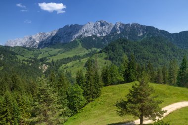 Alplerde dağ manzarası. Wilder Kaiser yakınındaki Brentenjochalm görünümünü