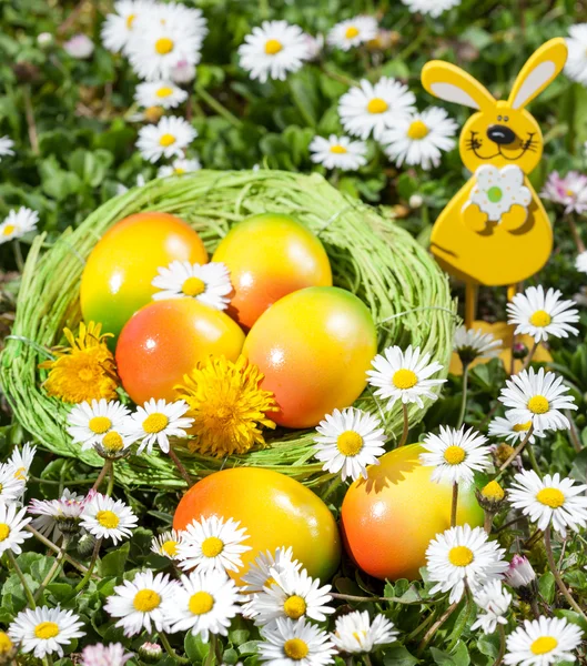 Easter decoration with easter eggs — Stock Photo, Image