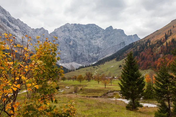 Herbstliche Berglandschaft in den Alpen bei Engalm. Österreich, tirol — Stockfoto