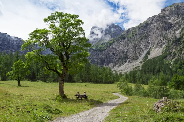 Gramaialm, Avusturya, Tirol yakınındaki yaz aylarında pastoral dağ manzarası