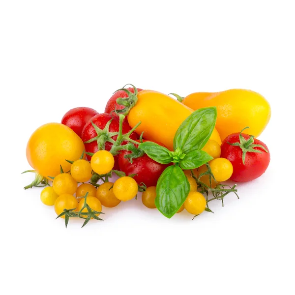 Tomate rot gelb verschieden — Stockfoto