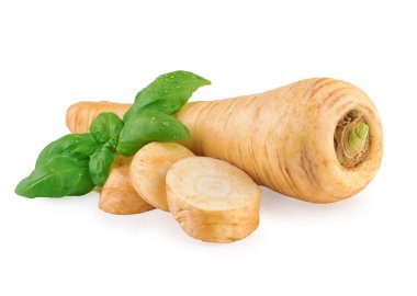 Parsnip Root  Prepared for Cooking clipart