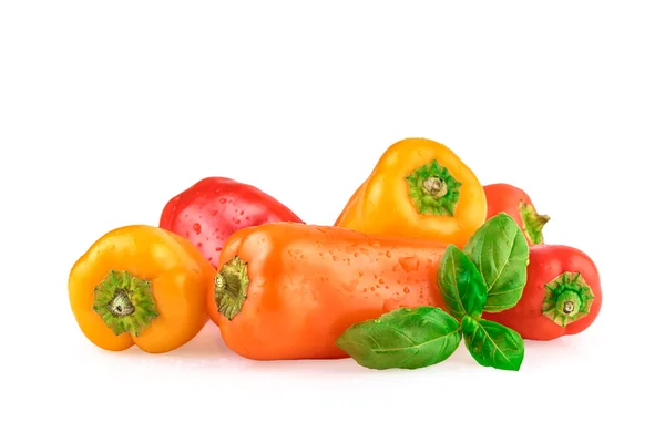 Bell Peppers Multicolored — Stock Photo, Image