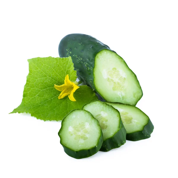 Cucumber Cut and Slices — Stock Photo, Image