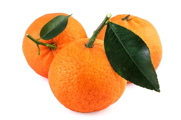 Mandarinkové ovoce přes bílý — Stock fotografie