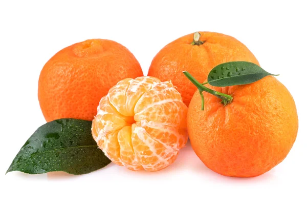 Tangerine gyümölcsök elszigetelt fehér — Stock Fotó