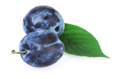 Yaprak yeşil erik meyve