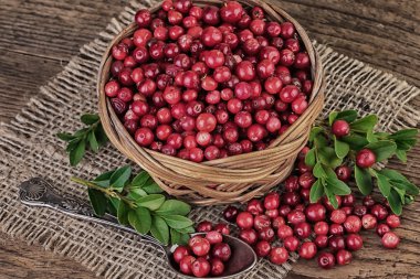 Kırmızı Cranberries Vintage