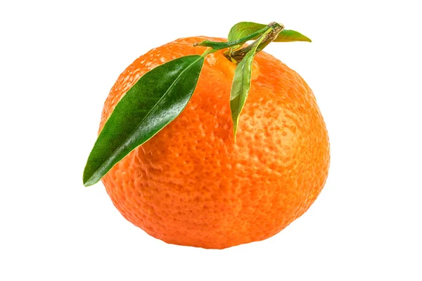 Tangerine Mandarin geïsoleerd op wit — Stockfoto