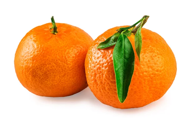 Tangerine Mandarin frukter isolerad på vit — Stockfoto