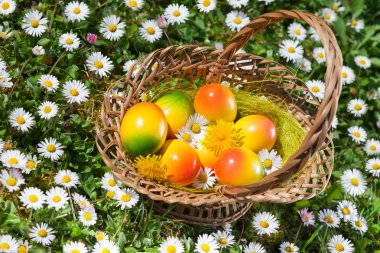 Sepet Paskalya yumurta dekorasyon çiçek çayır