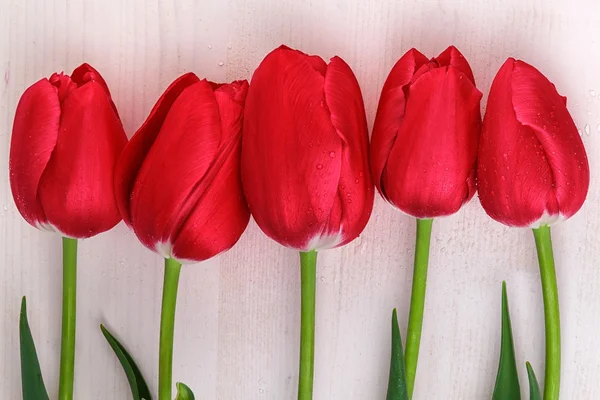 Červené tulipány na světlé dřevěné pozadí — Stock fotografie