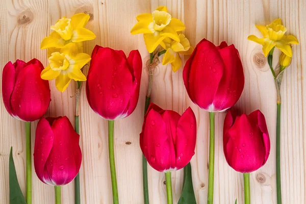 Cheerful Spring Flowers Closeup — Stock Photo, Image