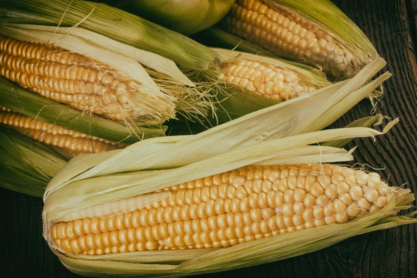 Vintage kukorica cob Vértes — Stock Fotó