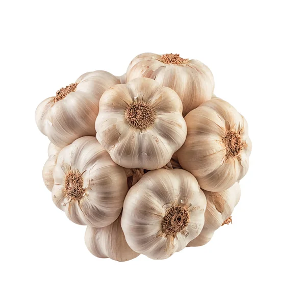 Knoblauch isoliert schneiden Pfad enthalten — Stockfoto