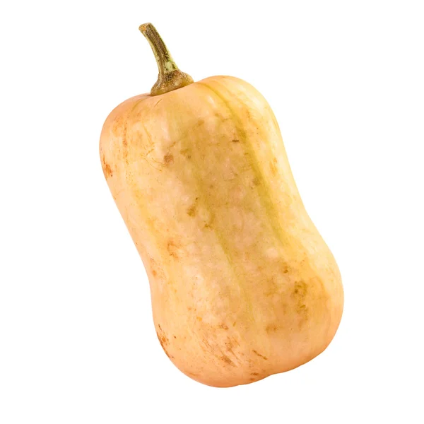 Pumpkin butternut isolated clipping path — Stock Photo, Image