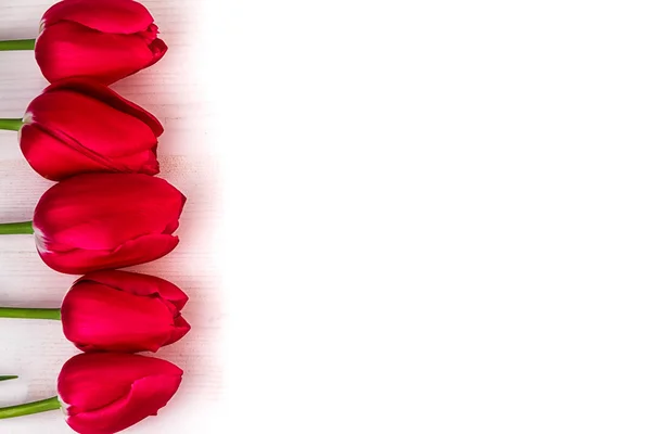 Tulipani rossi su legno chiaro bordo spazio di testo — Foto Stock