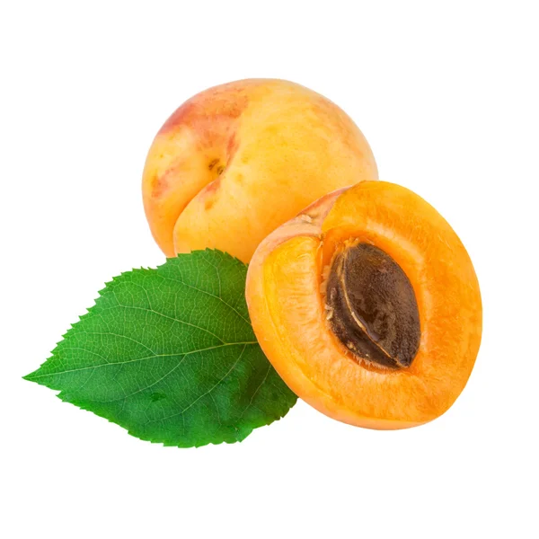 Apricot fruit whole half with green leaf — Stock Photo, Image