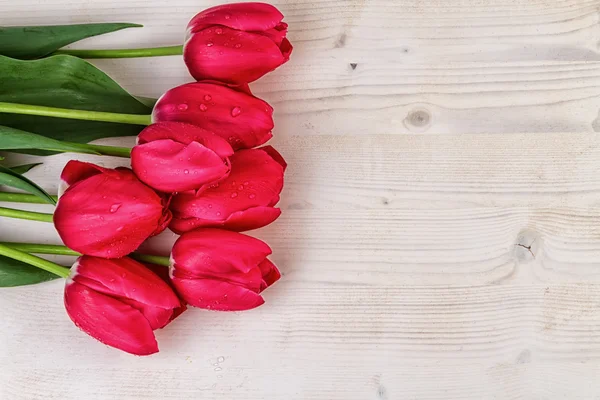 Tulpen rood op lichte houten achtergrond tekst ruimte — Stockfoto