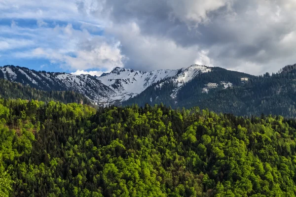 Paisagem de primavera verde com florestas e montanhas cobertas de neve — Fotografia de Stock