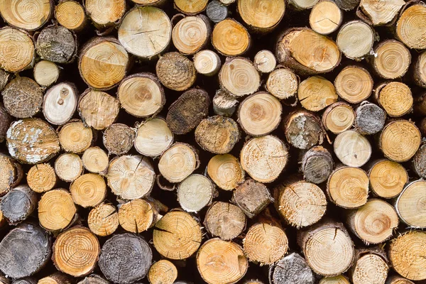 Firewood Stacked Background — Stock Photo, Image