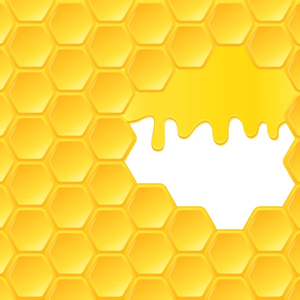 Panal y miel que fluye — Vector de stock