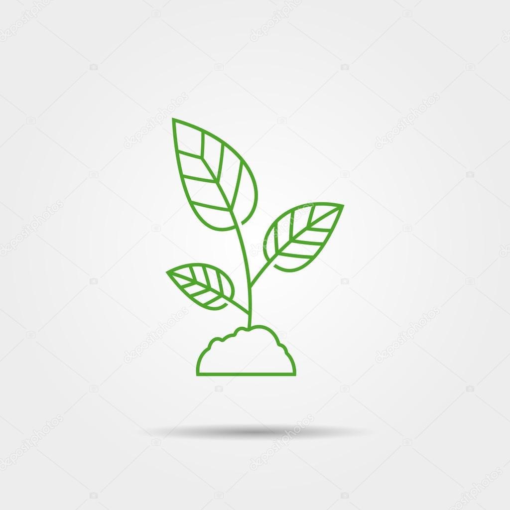 Sprout vector icon