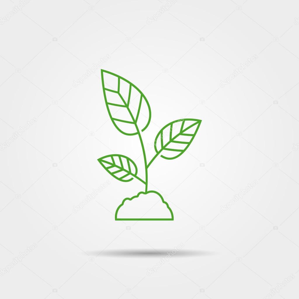Sprout vector line icon