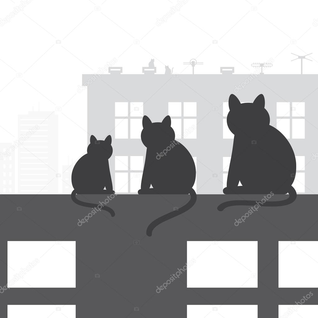 Cats on the roof