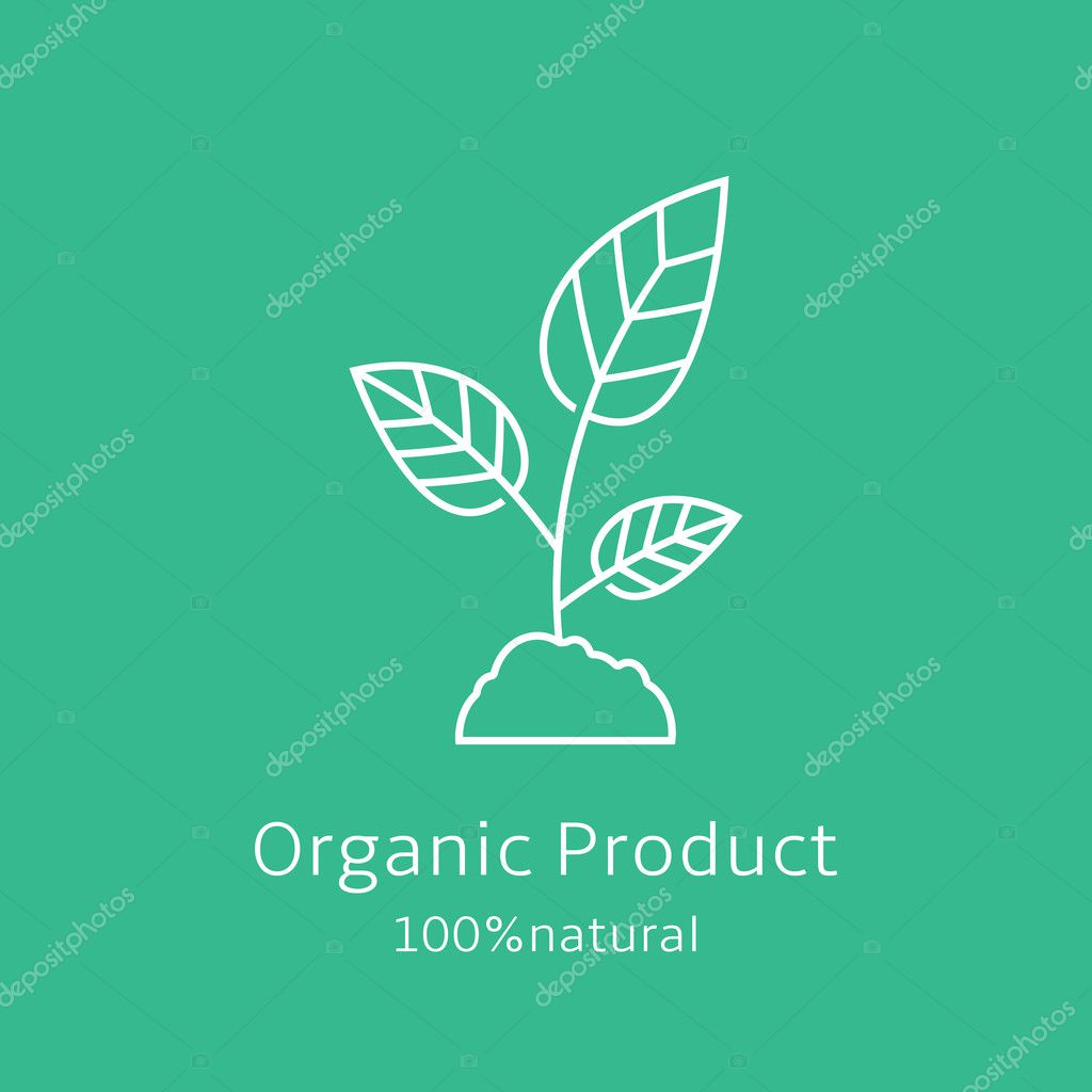 Sprout icon. Organic product banner. Vector illustration.