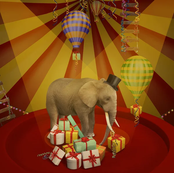 Elefante al circo con doni — Foto Stock