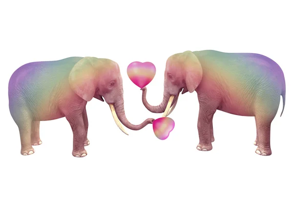 Dos elefantes enamorados . — Foto de Stock