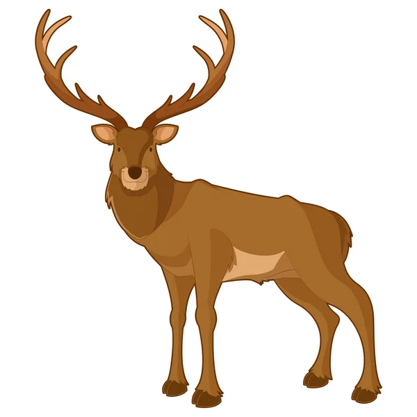Cartoon smiling deer — Stock Vector